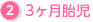 3ヶ月胎児