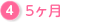 5ヶ月
