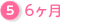 6ヶ月