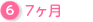 7ヶ月