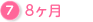 8ヶ月